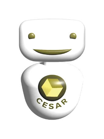 Cesar tool website 01