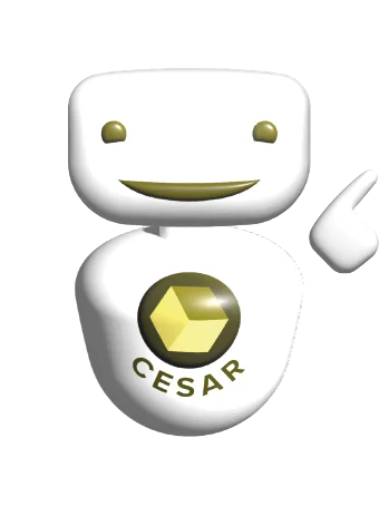 Cesar tool website 02